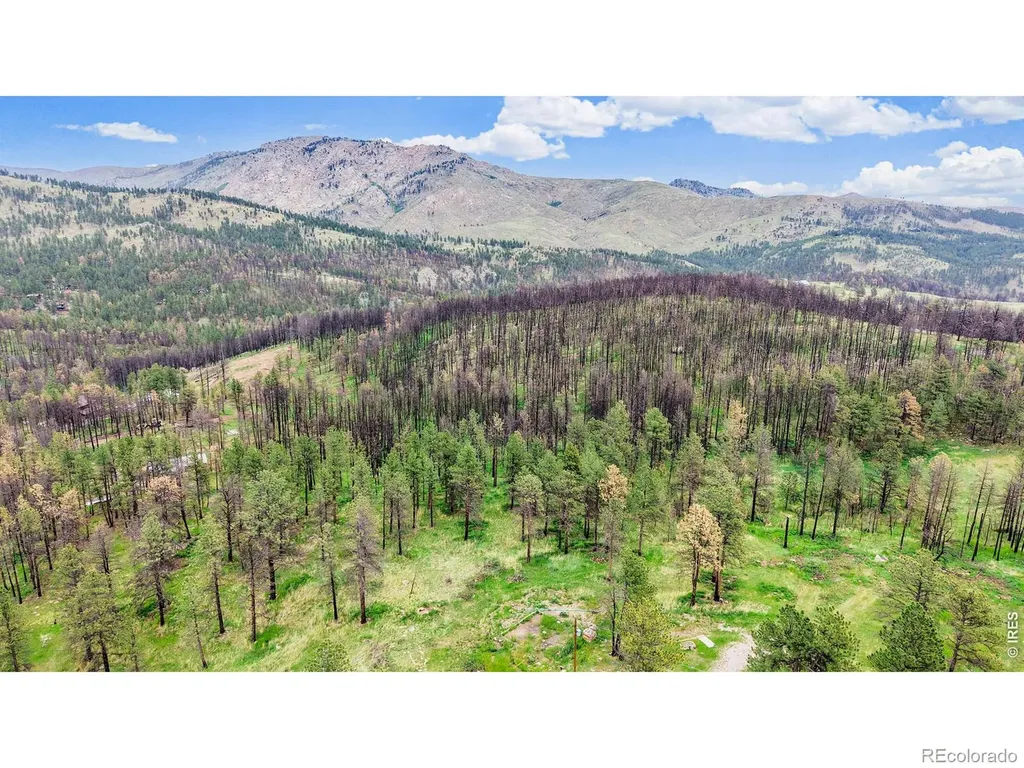 179 Green Ridge Road Drake CO 80515