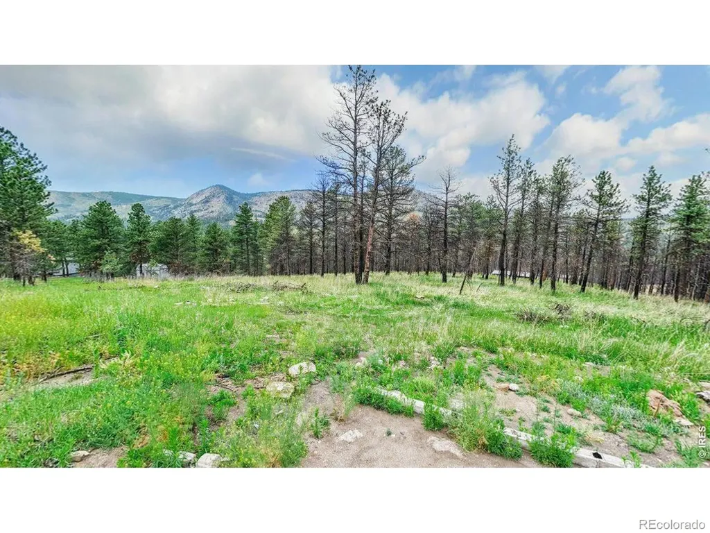 179 Green Ridge Road Drake CO 80515