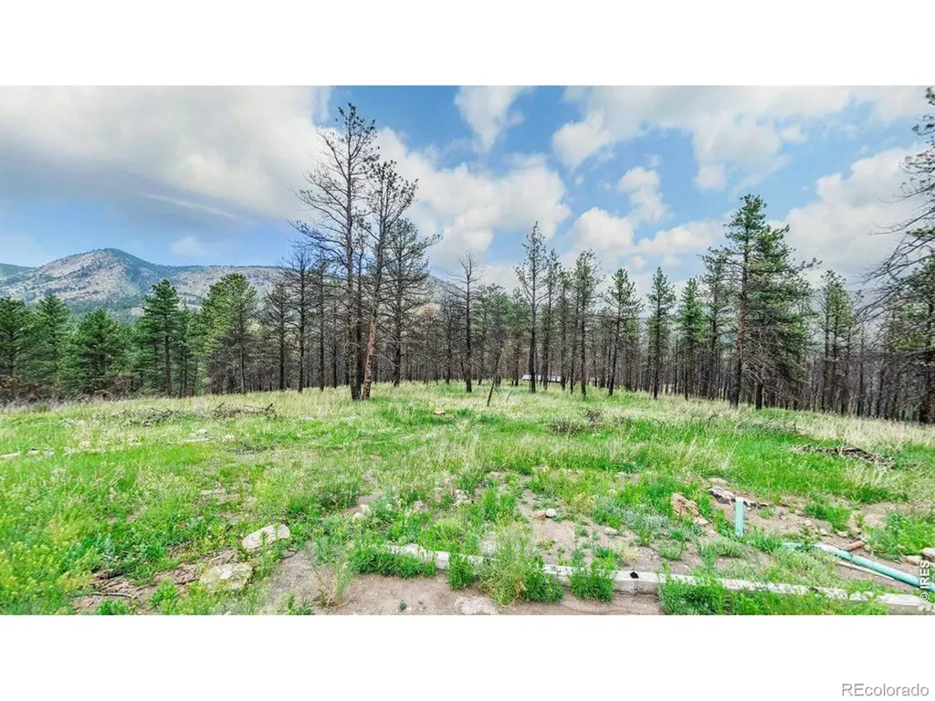 179 Green Ridge Road Drake CO 80515