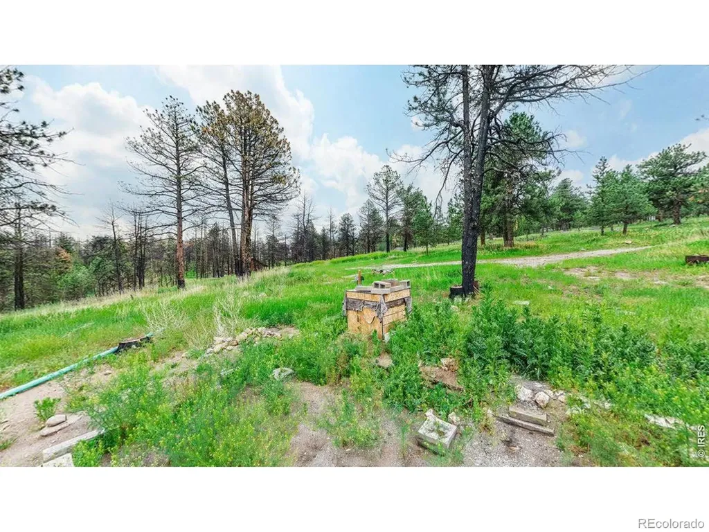 179 Green Ridge Road Drake CO 80515