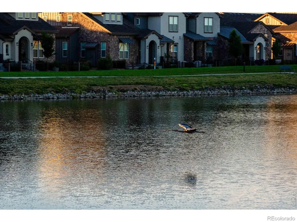 6244 Vernazza Way Windsor CO 80550