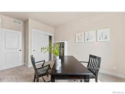 6244 Vernazza Way Windsor CO 80550