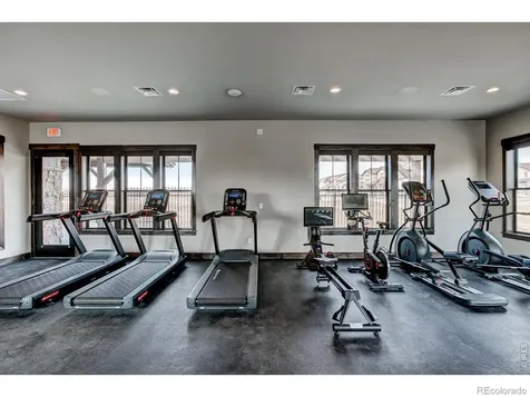 6244 Vernazza Way Windsor CO 80550