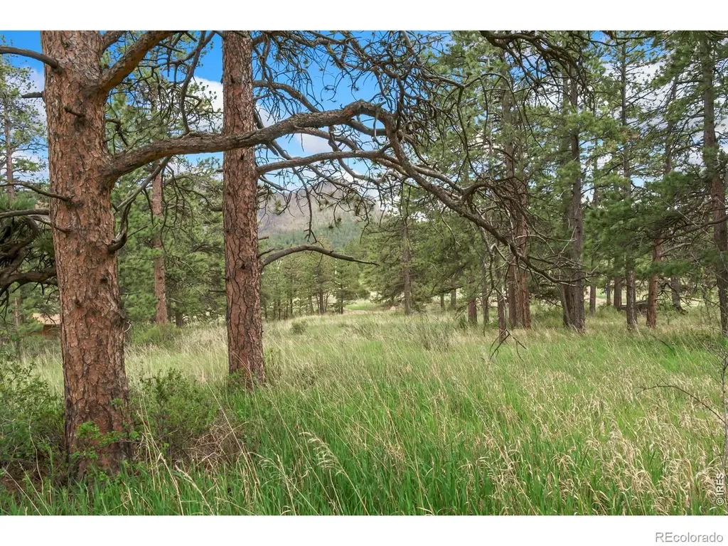 2606 Storm Mountain Drive Drake CO 80515