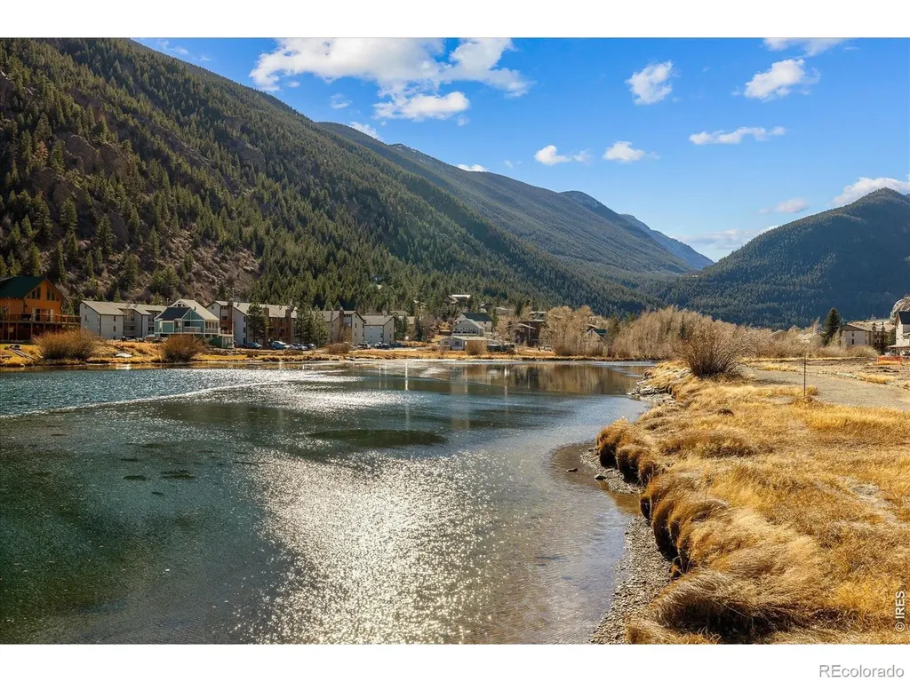 2121 Hummingbird Way Georgetown CO 80444