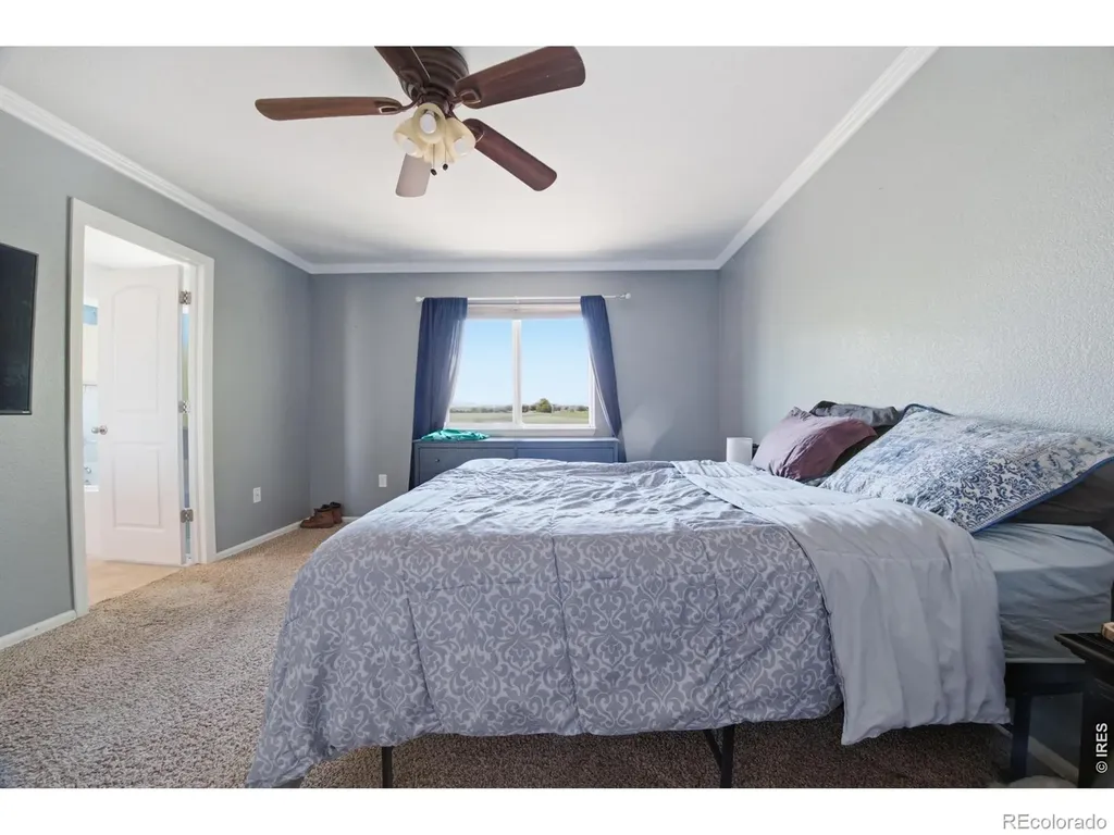 16001 Ginger Avenue Mead CO 80542