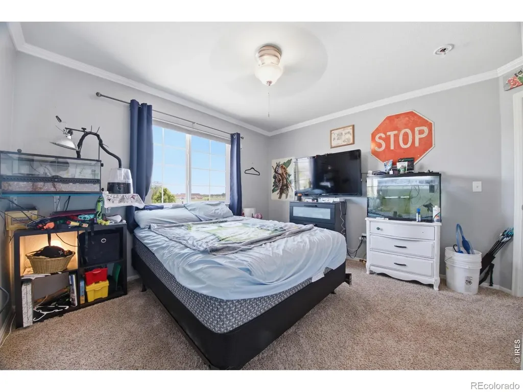 16001 Ginger Avenue Mead CO 80542