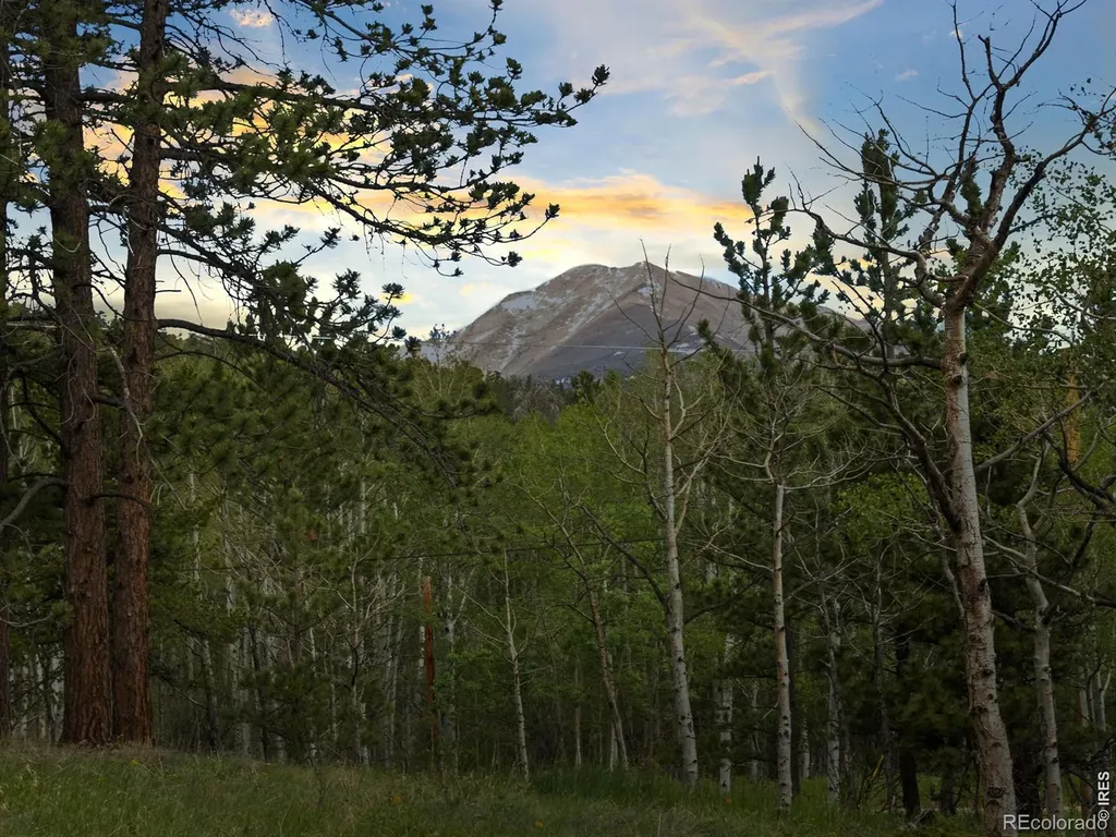 839 Ski Road Allenspark CO 80510