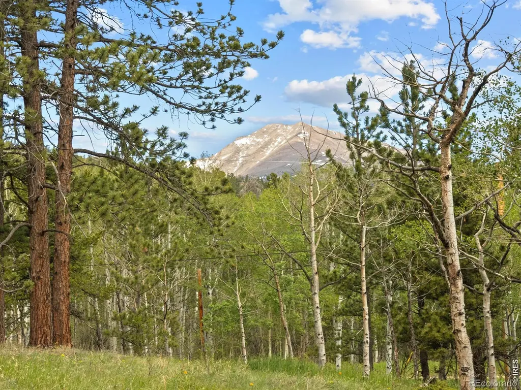 839 Ski Road Allenspark CO 80510