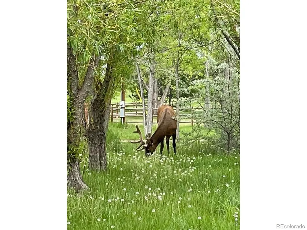 435 Willowrock Drive Loveland CO 80537