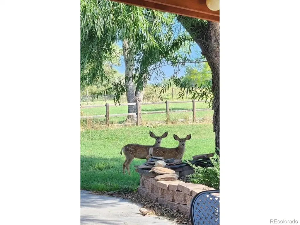 435 Willowrock Drive Loveland CO 80537