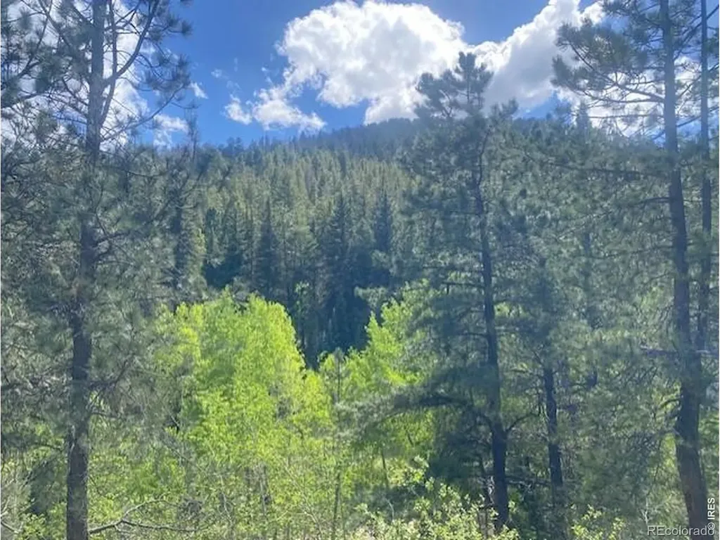 279 Switzerland Park Road Boulder CO 80302