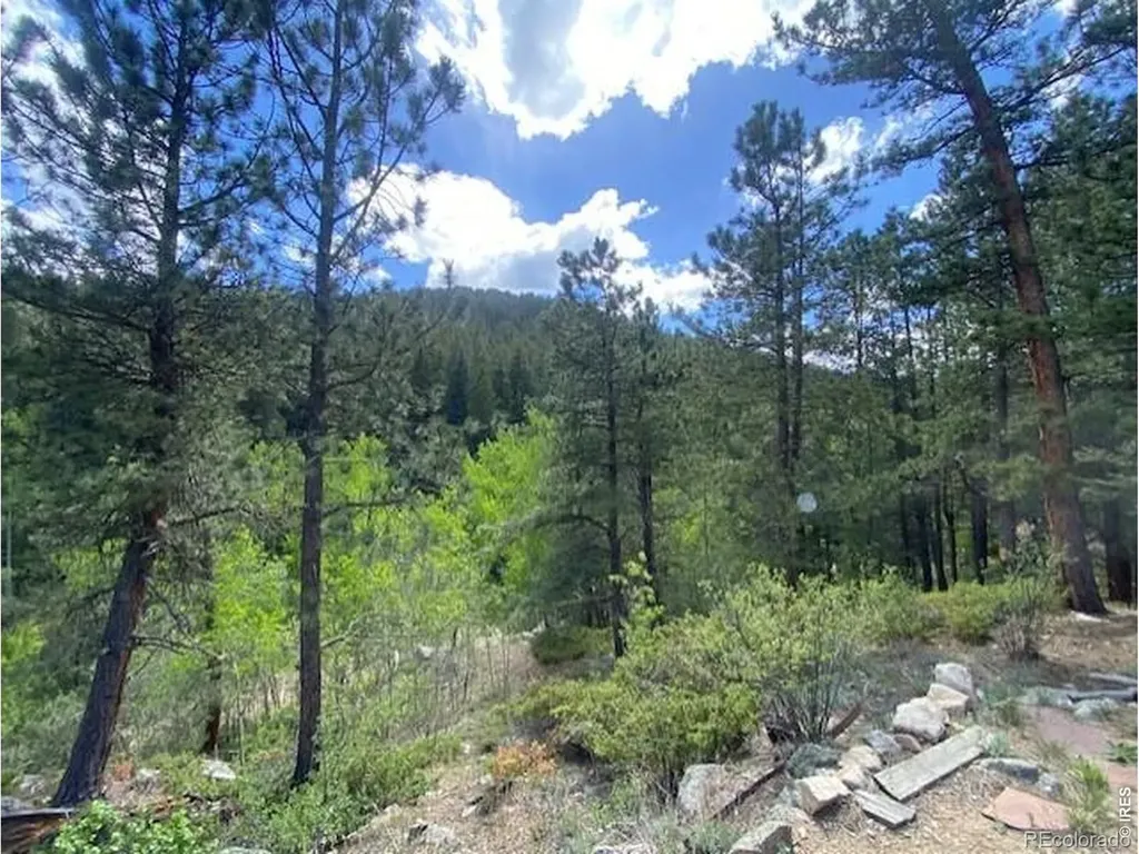 279 Switzerland Park Road Boulder CO 80302