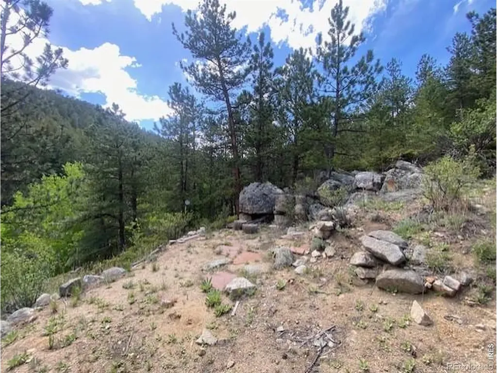 279 Switzerland Park Road Boulder CO 80302