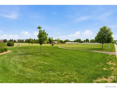 1530 Walnut Street Windsor CO 80550