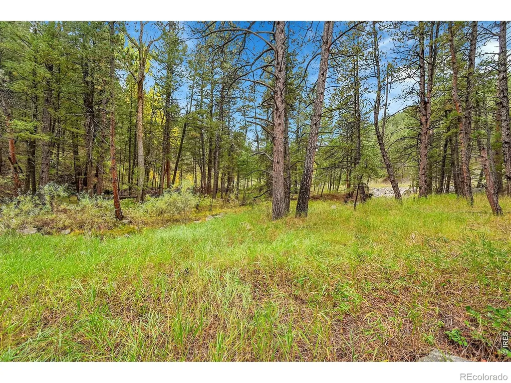5567 Lefthand Canyon Drive Jamestown CO 80455