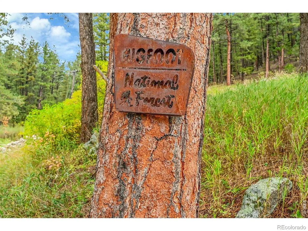 5567 Lefthand Canyon Drive Jamestown CO 80455
