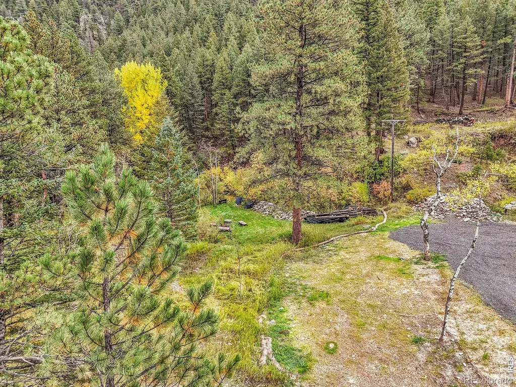 5567 Lefthand Canyon Drive Jamestown CO 80455