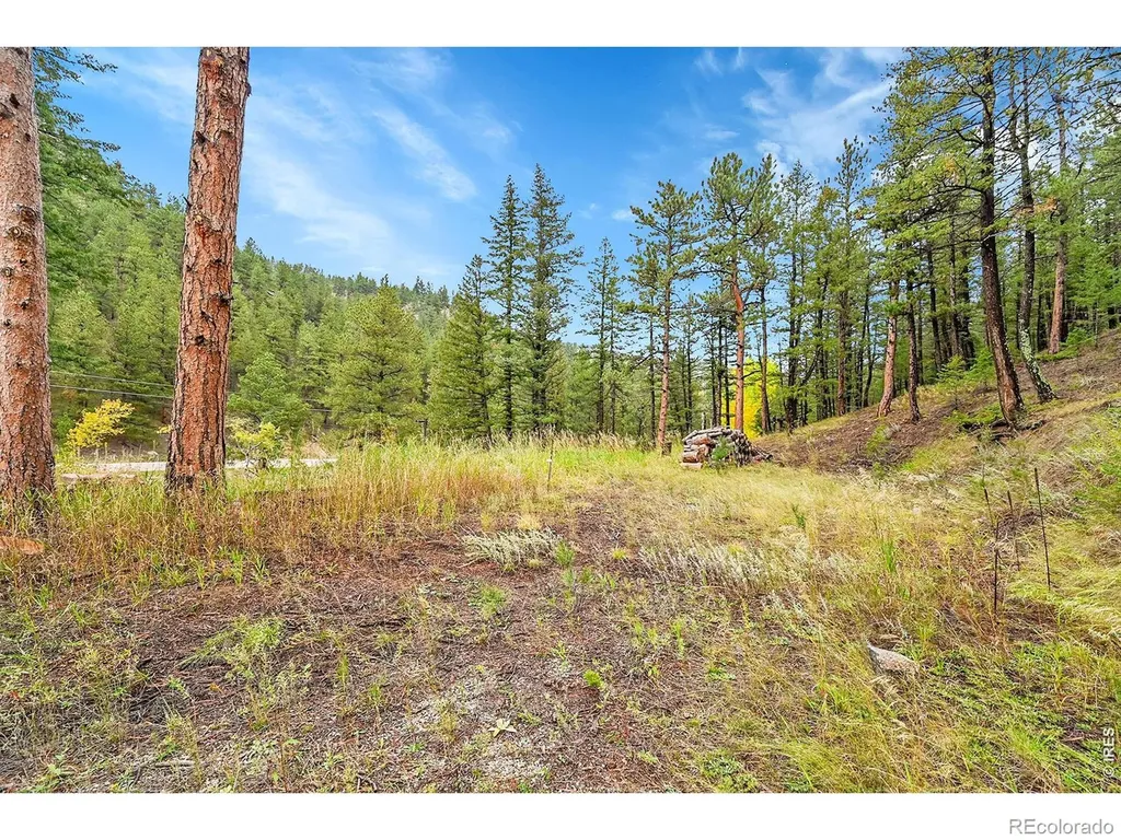 5567 Lefthand Canyon Drive Jamestown CO 80455