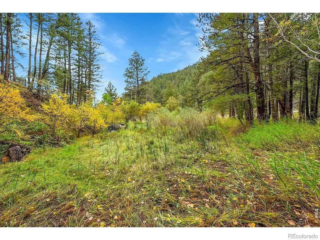 5567 Lefthand Canyon Drive Jamestown CO 80455