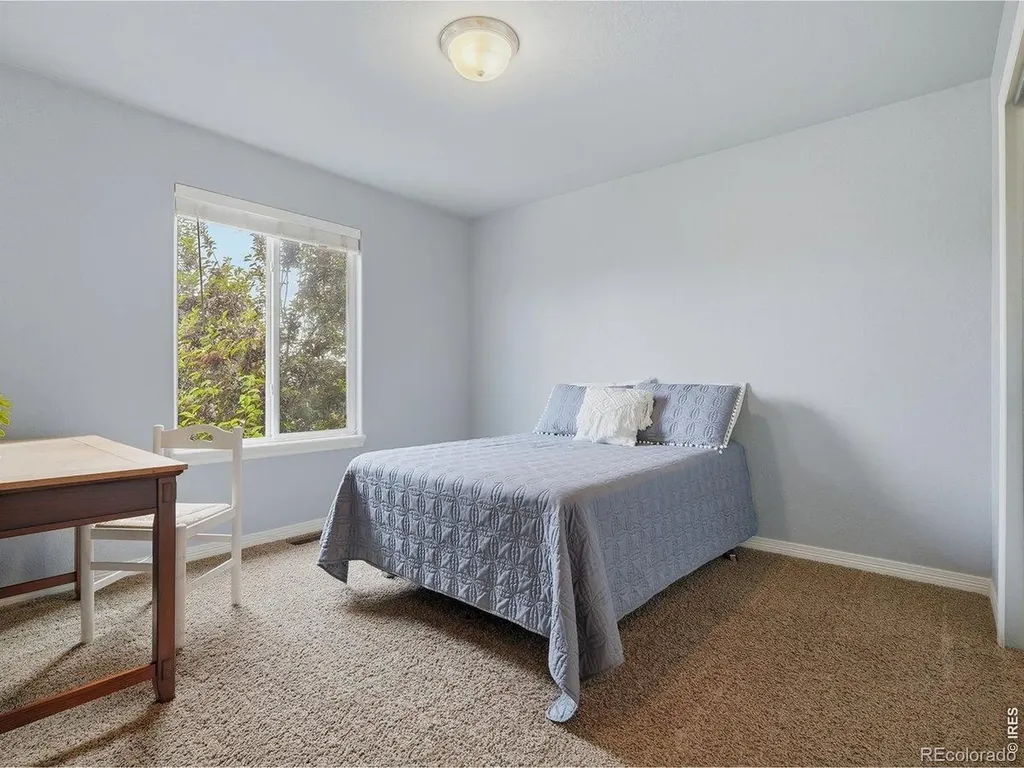623 Goose Lake Court Windsor CO 80550