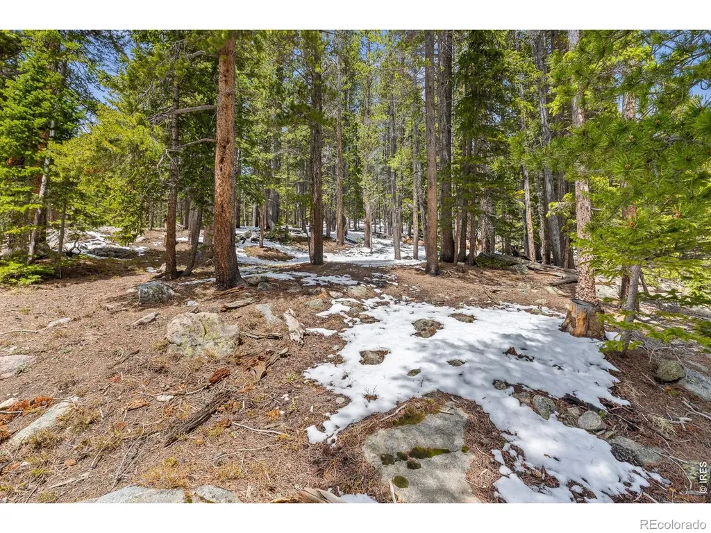 218 Brook Drive Idaho Springs CO 80452