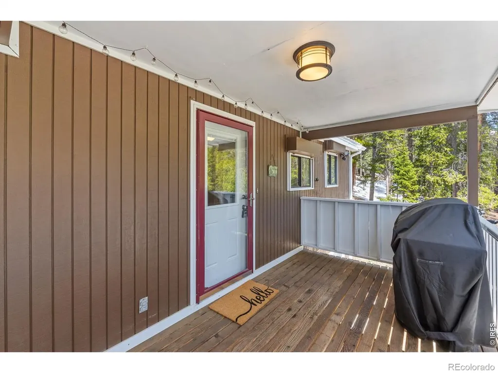 218 Brook Drive Idaho Springs CO 80452