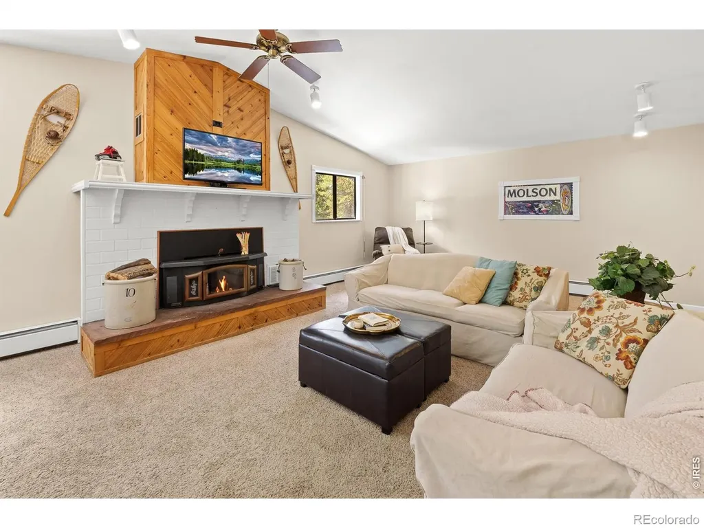 218 Brook Drive Idaho Springs CO 80452