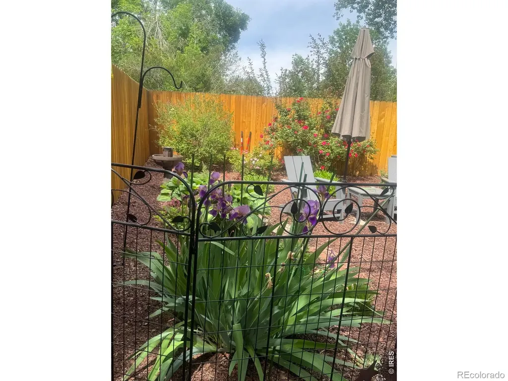 2637 Flintridge Place Fort Collins CO 80521