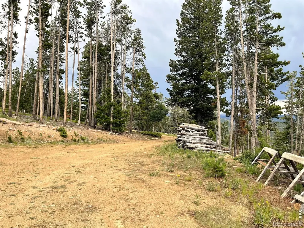 1255 Jicarilla Trail Red Feather Lakes CO 80545