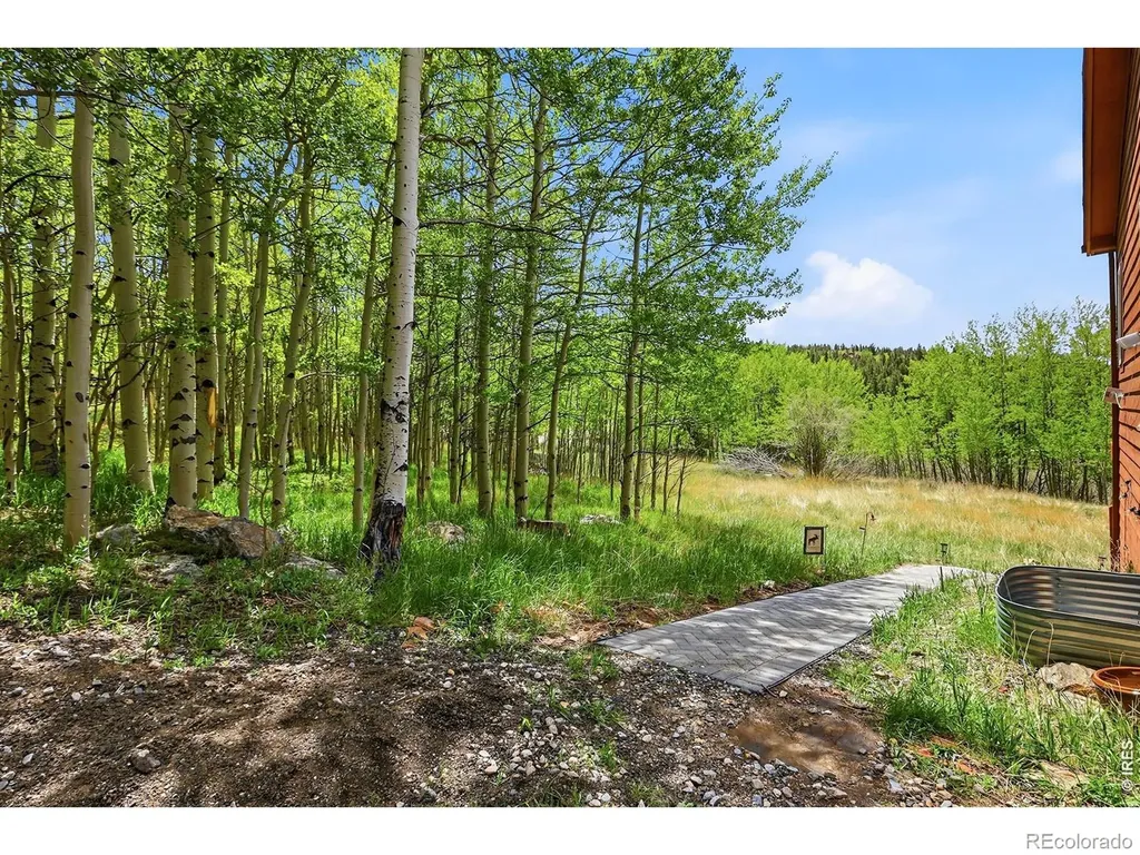 208 Howe Court Black Hawk CO 80422