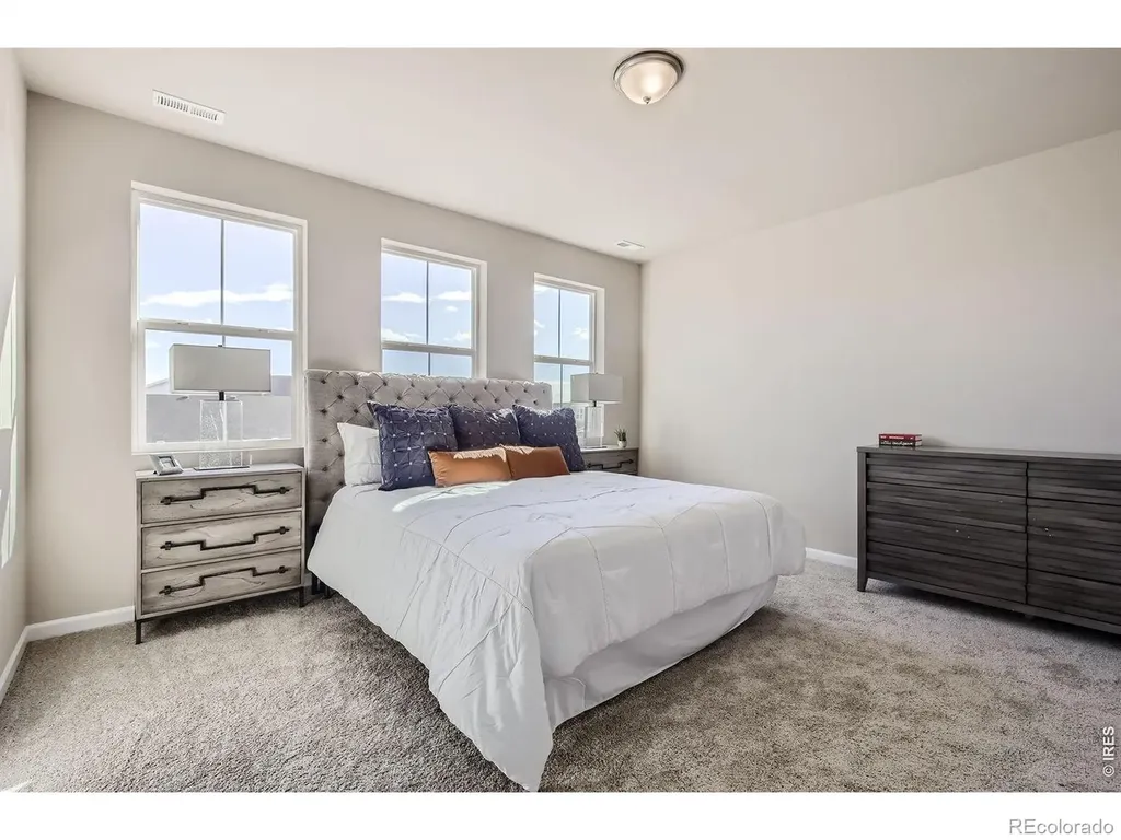 678 Noola Street Windsor CO 80550