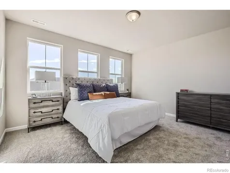 678 Noola Street Windsor CO 80550