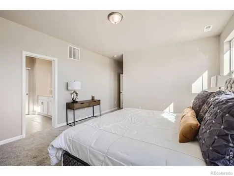 678 Noola Street Windsor CO 80550