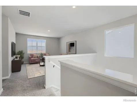 678 Noola Street Windsor CO 80550