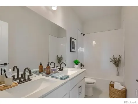 678 Noola Street Windsor CO 80550