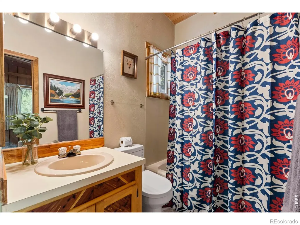 702 Bryan Avenue Nederland CO 80466