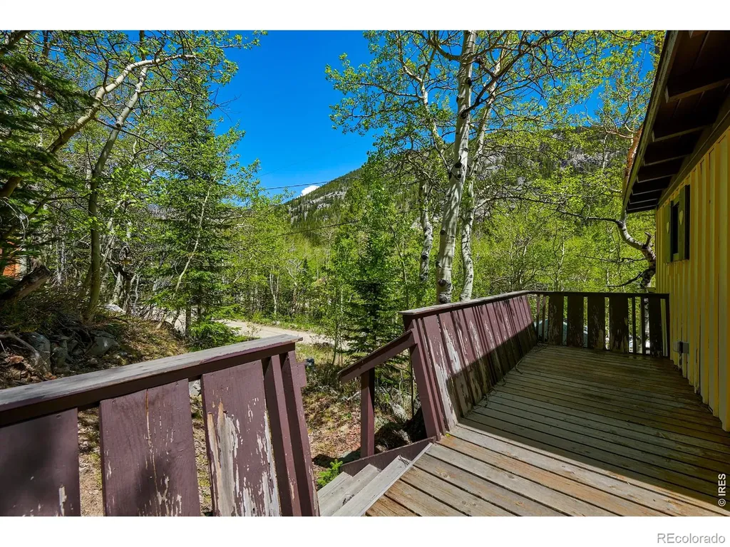 702 Bryan Avenue Nederland CO 80466