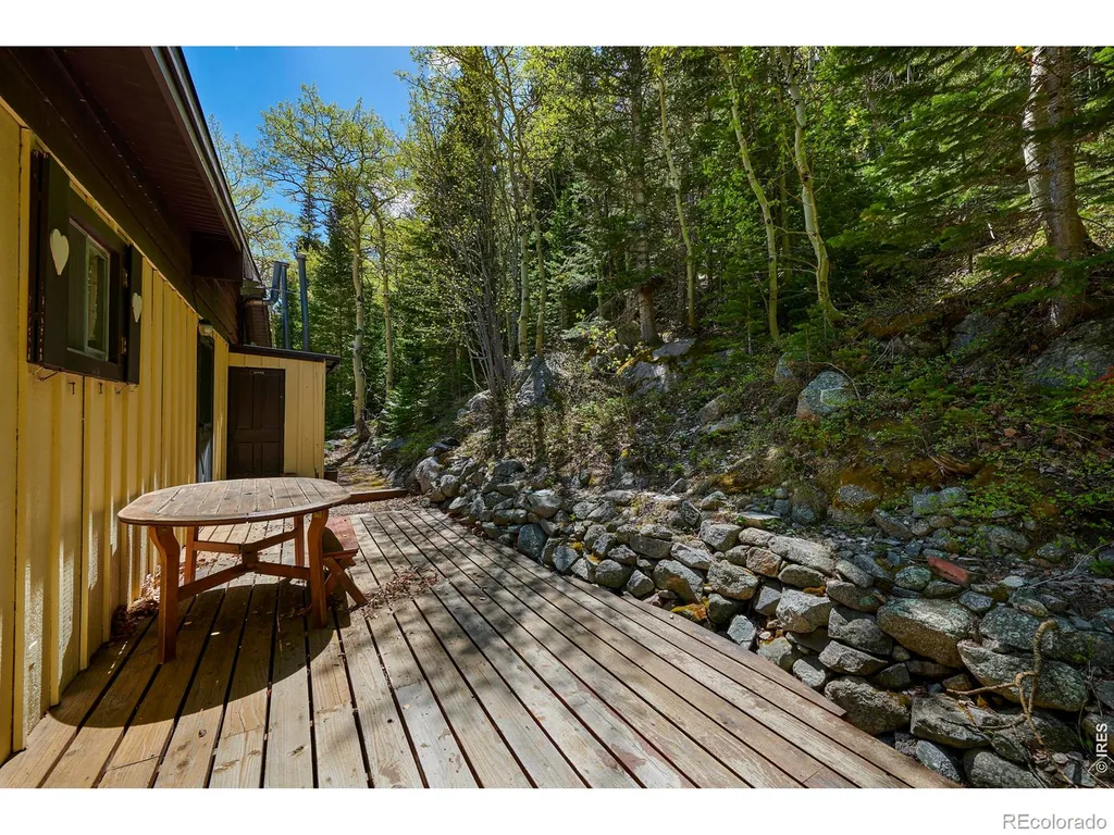 702 Bryan Avenue Nederland CO 80466