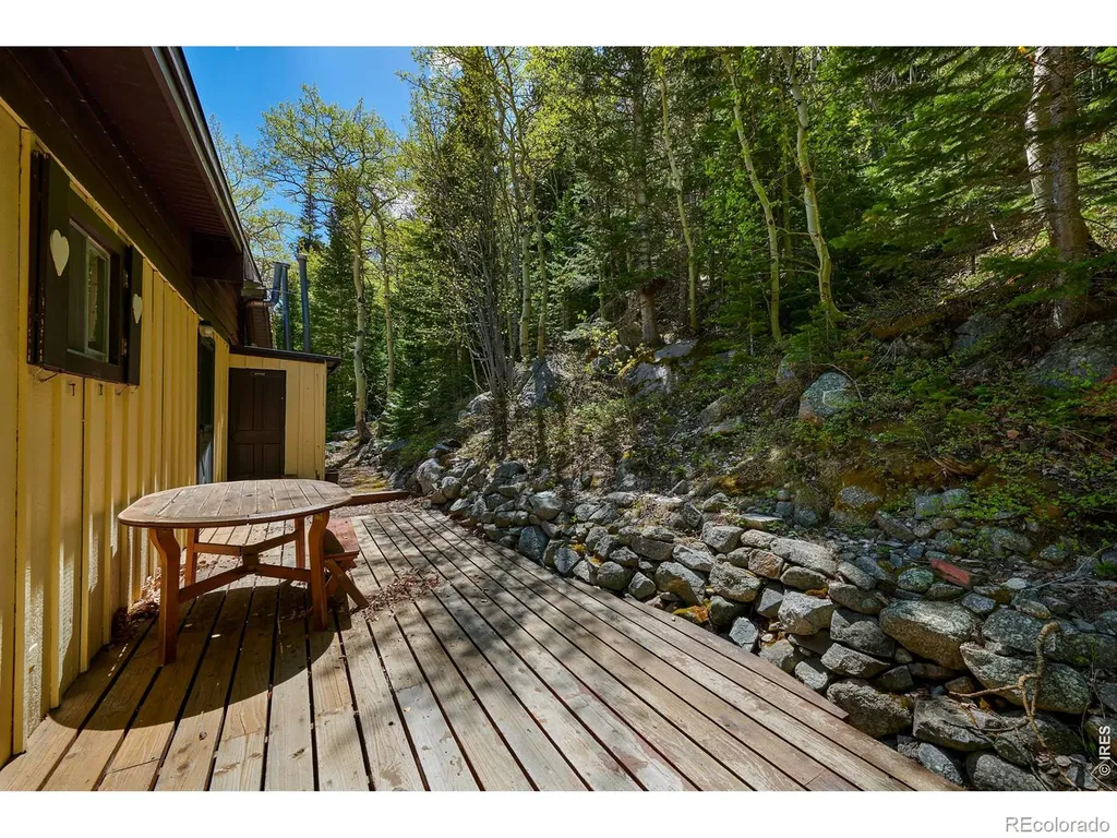 702 Bryan Avenue Nederland CO 80466