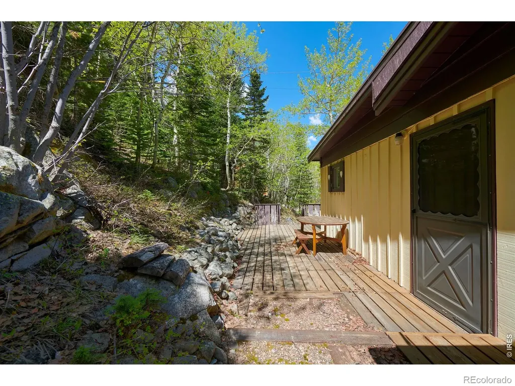 702 Bryan Avenue Nederland CO 80466