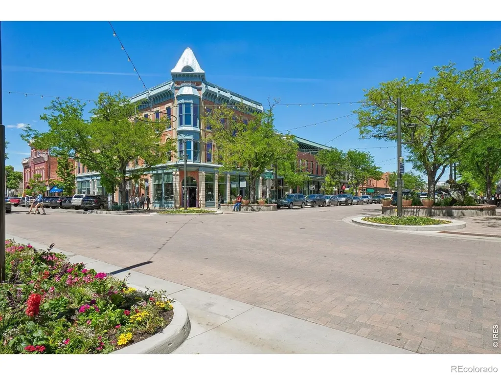 233 N Meldrum Street Fort Collins CO 80521
