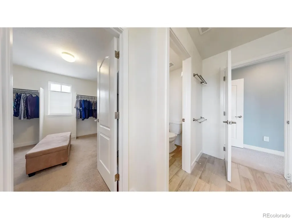 2840 Fractus Street Timnath CO 80547