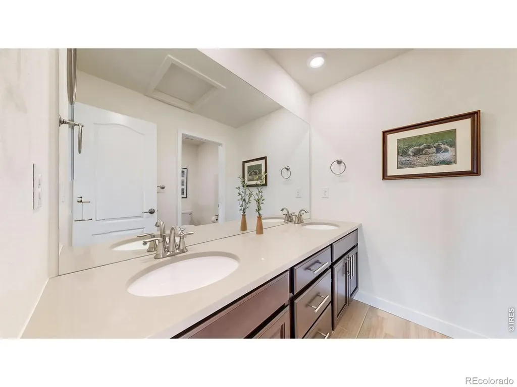 2840 Fractus Street Timnath CO 80547