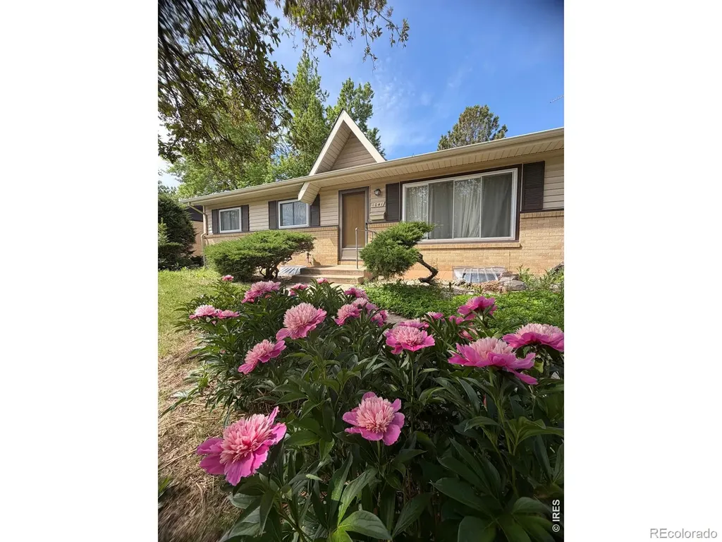 1041 Montview Road Fort Collins CO 80521
