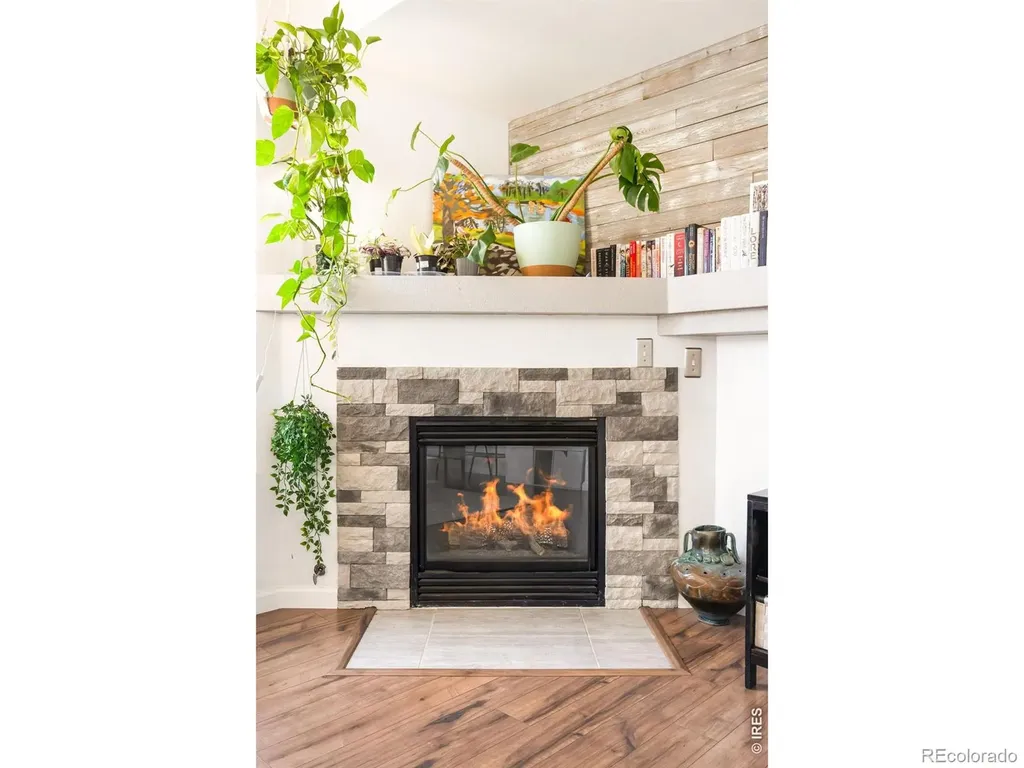 4973 S Dillon Street Aurora CO 80015