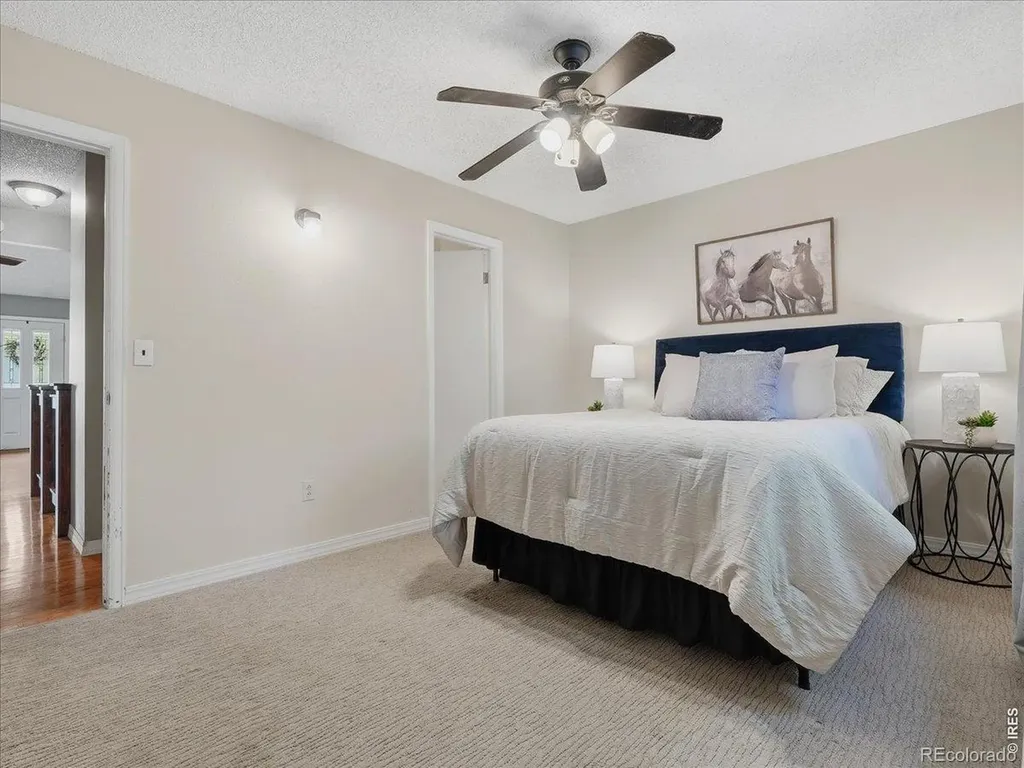 4313 Widgeon Street Fort Collins CO 80526