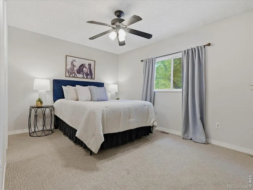 4313 Widgeon Street Fort Collins CO 80526