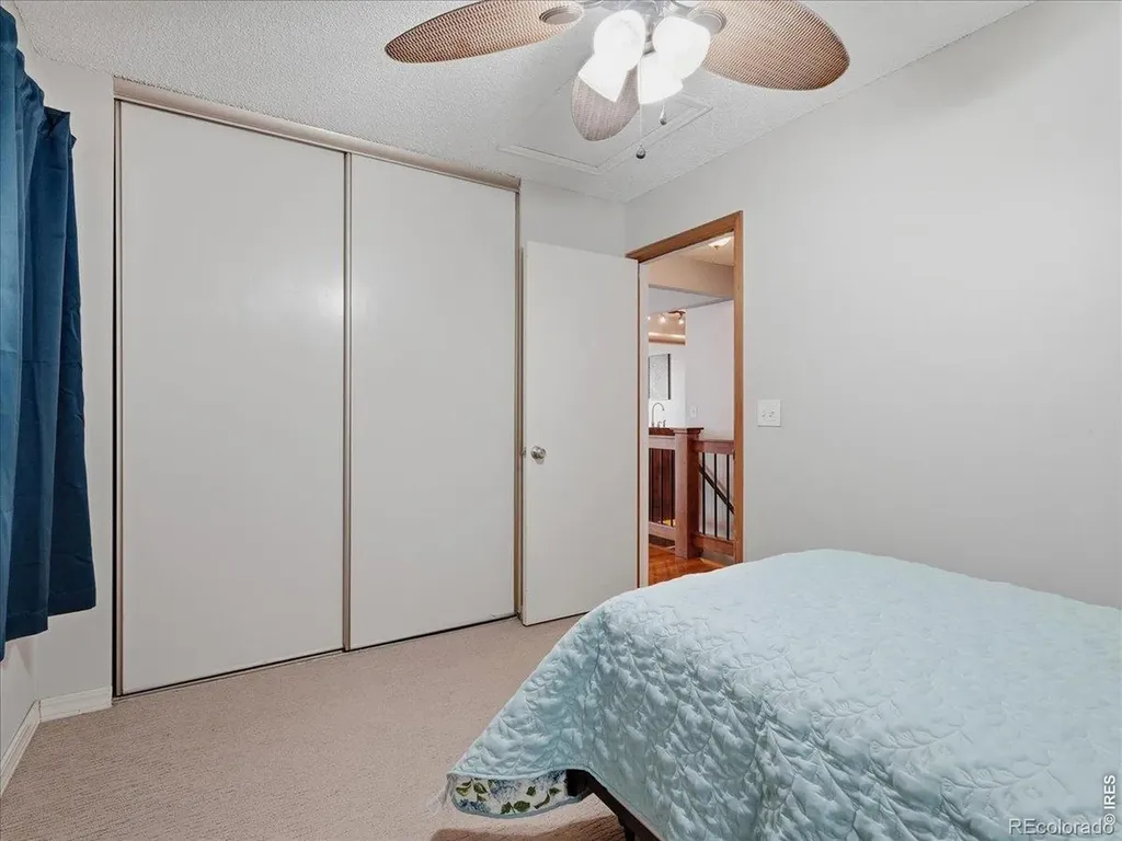 4313 Widgeon Street Fort Collins CO 80526