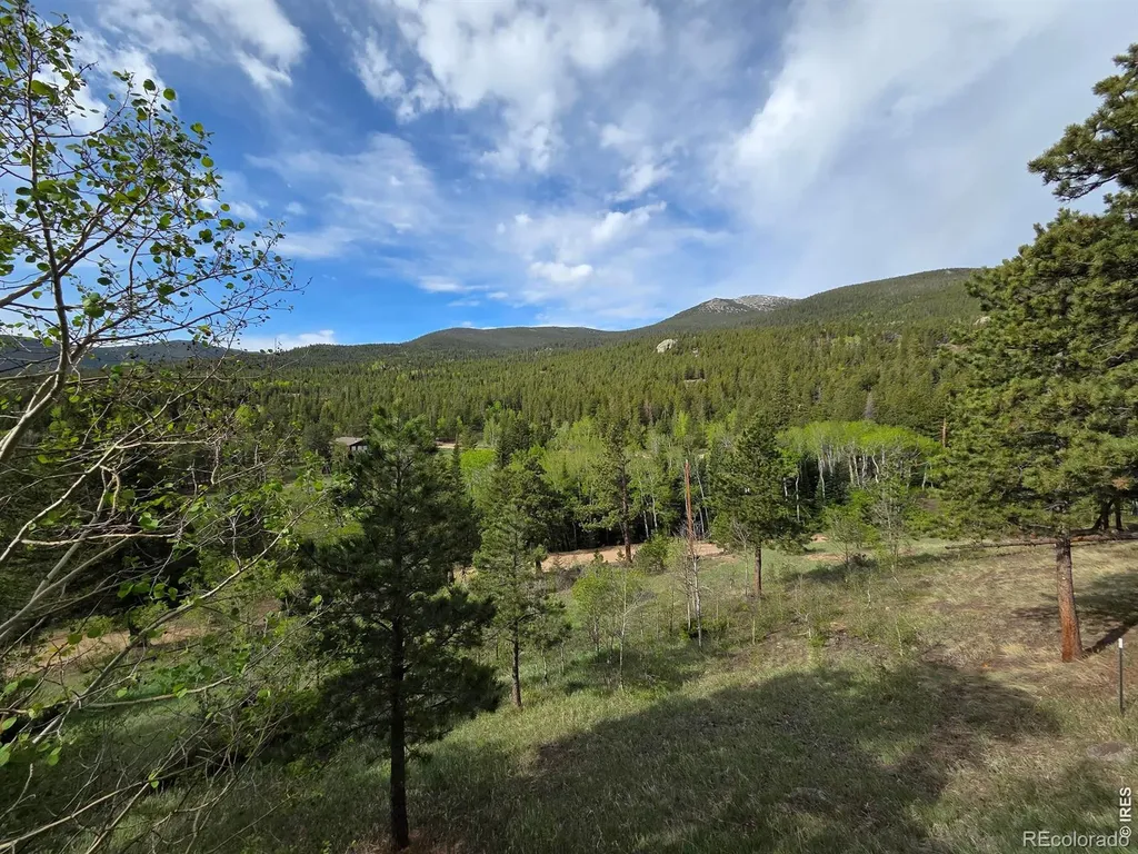 328 N Skinner Road Allenspark CO 80510